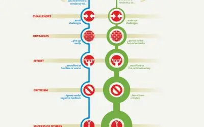 Challenging Mindset